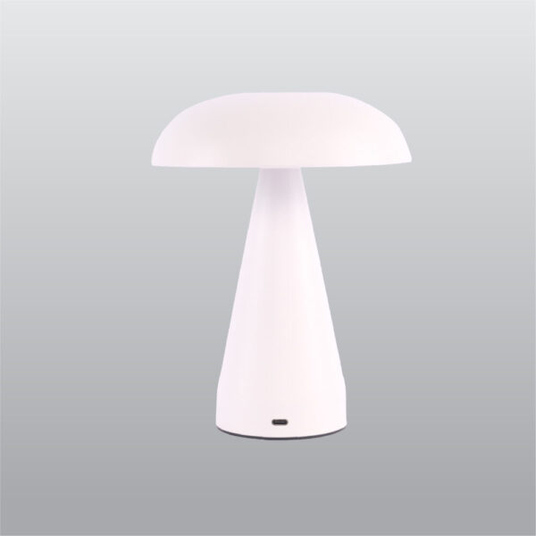 ACK LED Dokunmatik Metal Masa Lambaları Beyaz 3000K-6000K